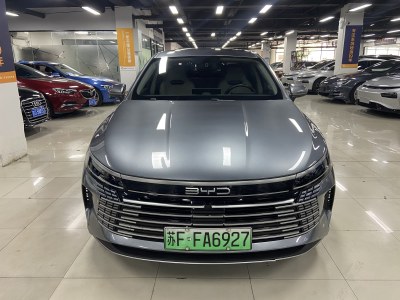 2024年1月 比亚迪 驱逐舰05 冠军版 DM-i 55KM 豪华型图片