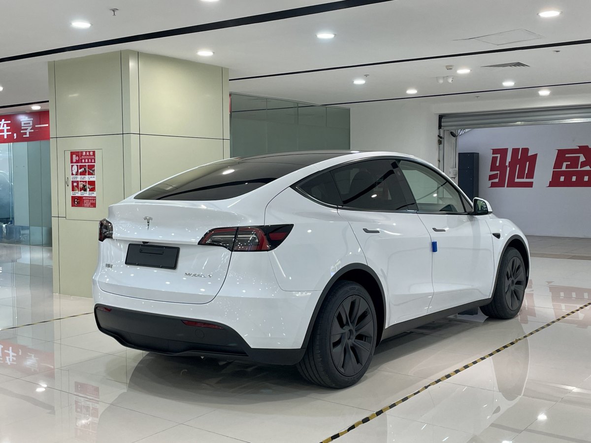 特斯拉 Model Y  2020款 改款 長(zhǎng)續(xù)航后輪驅(qū)動(dòng)版圖片