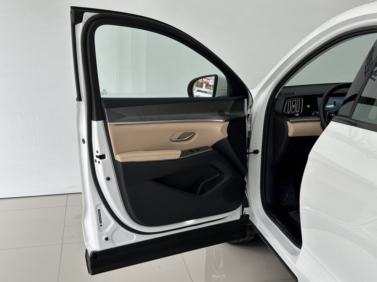 比亞迪 宋Pro新能源  2025款 DM-i 115KM超越型圖片