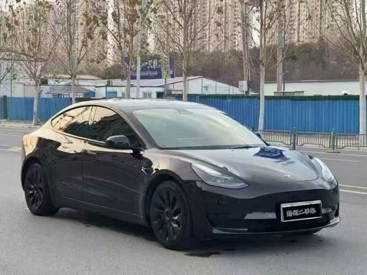 特斯拉 Model 3  2022款 Performance高性能全輪驅(qū)動(dòng)版圖片