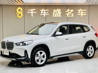 2024年1月 寶馬 寶馬X1 sDrive20Li X設(shè)計(jì)套裝圖片