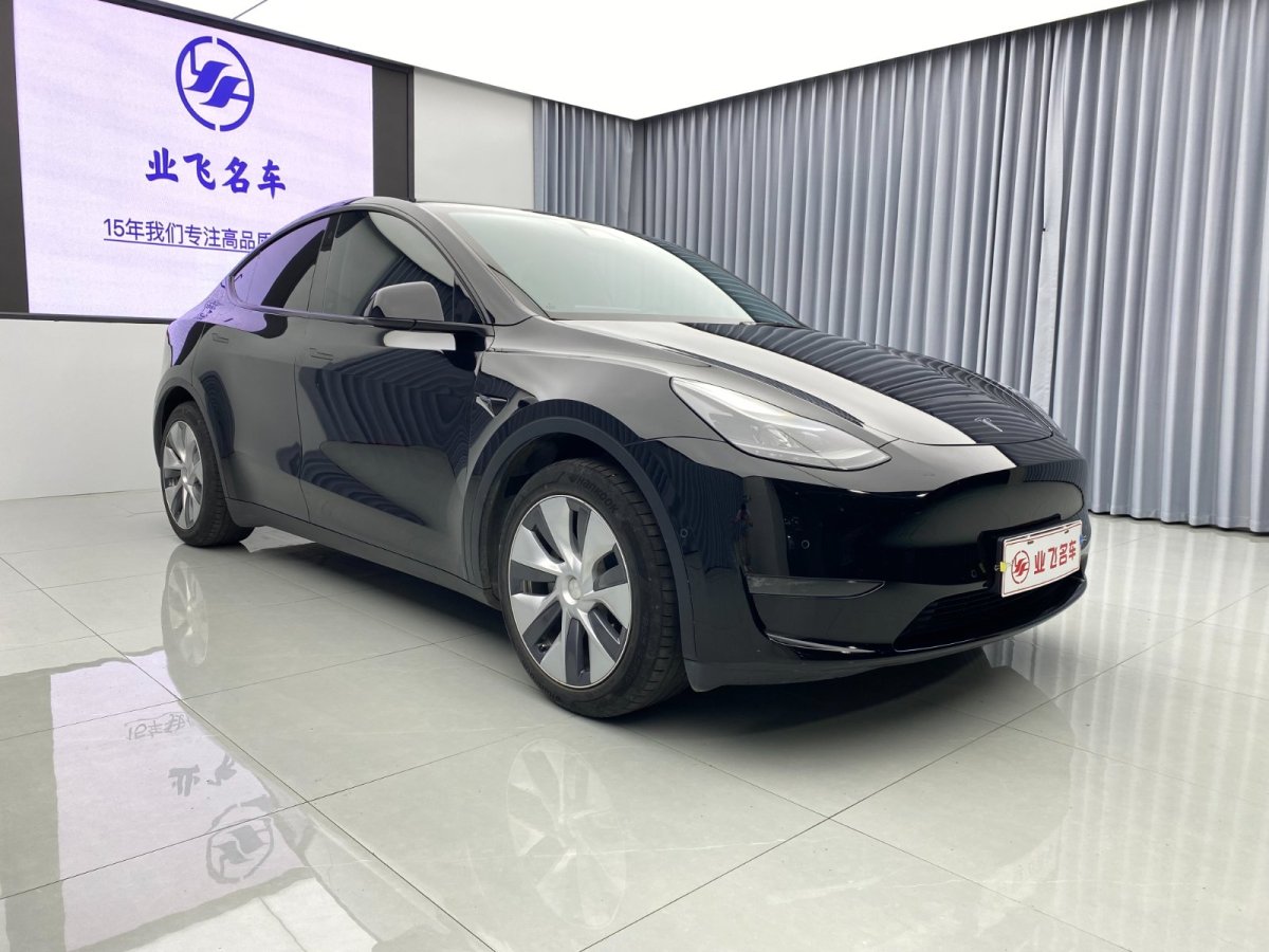 特斯拉 Model Y  2021款 標(biāo)準(zhǔn)續(xù)航后驅(qū)升級(jí)版圖片