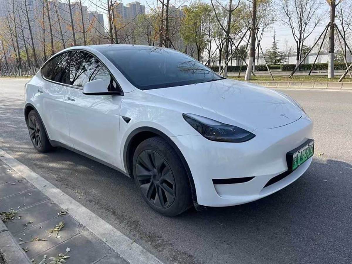 特斯拉 Model 3  2020款 改款 長續(xù)航后輪驅動版圖片