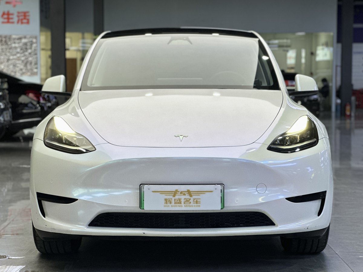 特斯拉 Model 3  2020款 改款 長續(xù)航后輪驅(qū)動版圖片