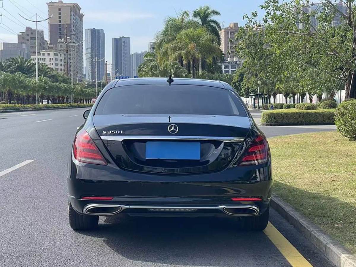 奔馳 奔馳S級  2019款 S 350 L 尊貴型圖片