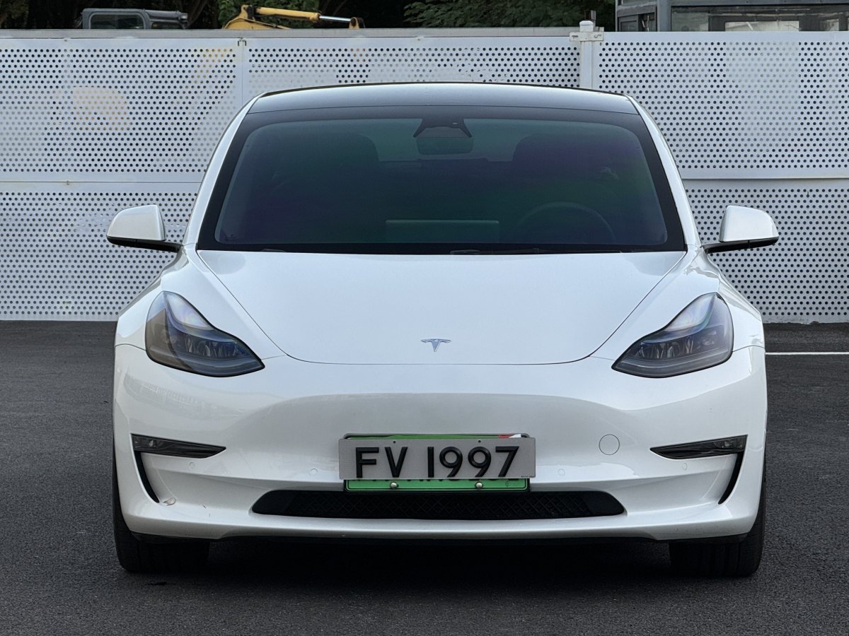 特斯拉 Model 3  2019款 Performance高性能全輪驅(qū)動(dòng)版圖片