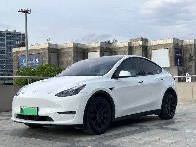 2021年7月 特斯拉 Model 3 长续航全轮驱动版 3D7图片