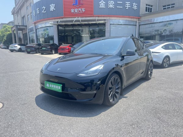 特斯拉 Model Y  2022款 Performance高性能全轮驱动版