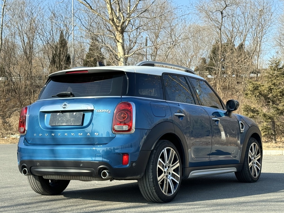 MINI COUNTRYMAN  2019款 2.0T COOPER S ALL4 藝術(shù)家圖片