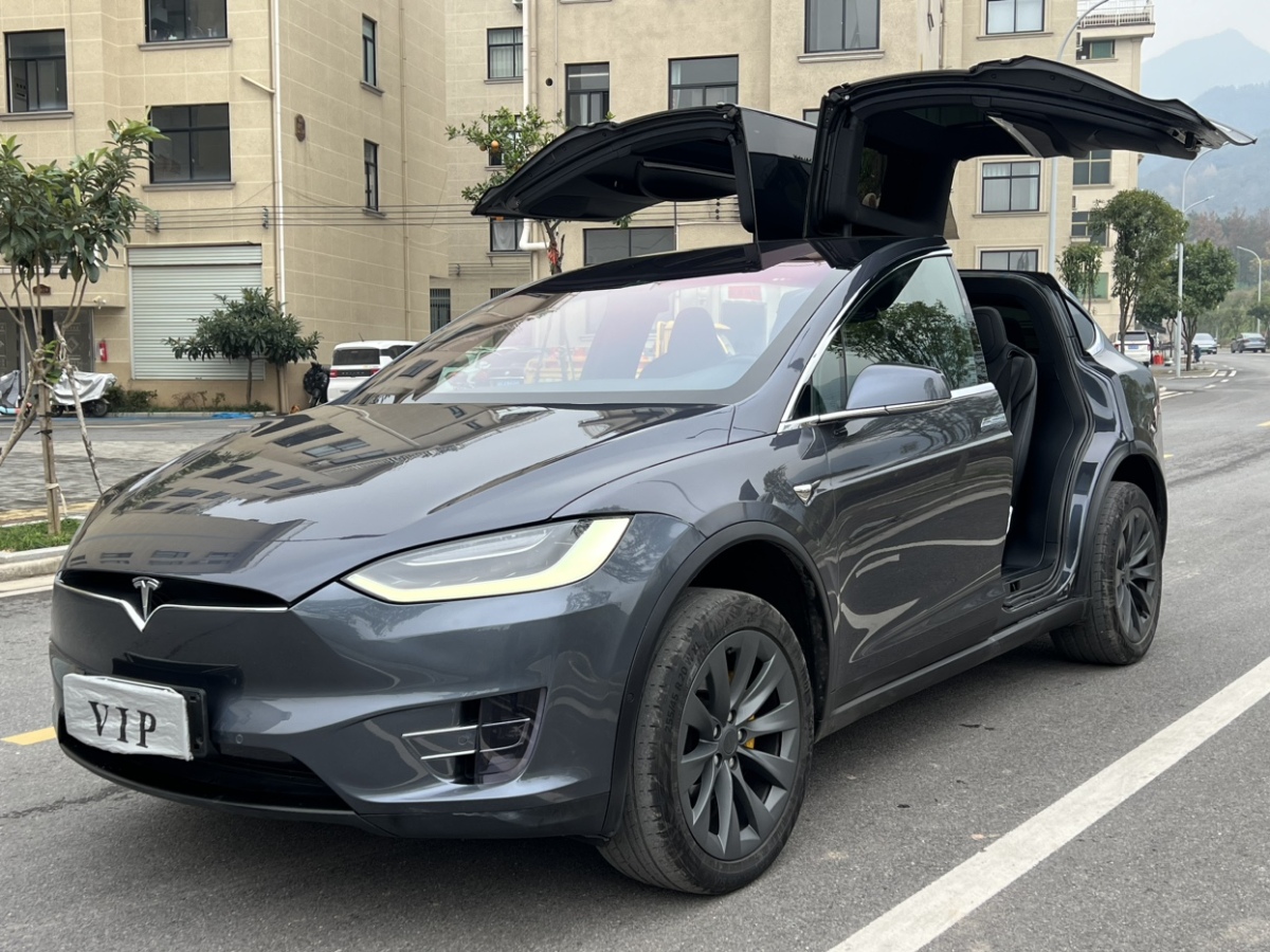 特斯拉 Model X  2019款 標準續(xù)航版圖片