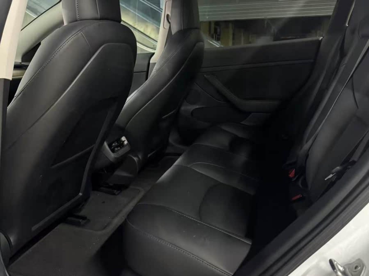 特斯拉 Model 3  2021款 改款 標(biāo)準(zhǔn)續(xù)航后驅(qū)升級(jí)版圖片