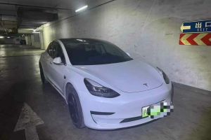 Model 3 特斯拉 标准续航后驱升级版