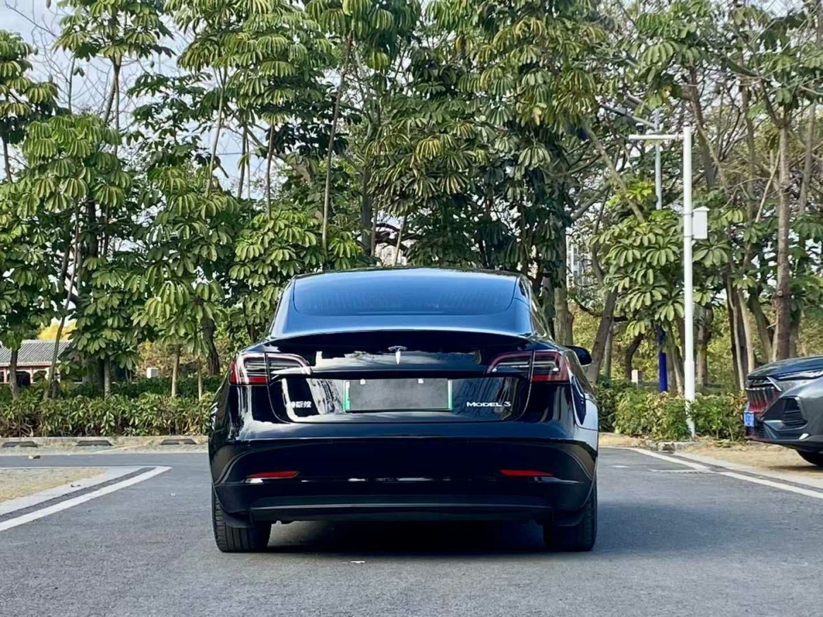 特斯拉 Model 3  2020款 標準續(xù)航后驅(qū)升級版圖片