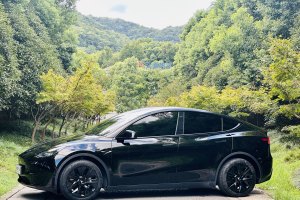 Model Y 特斯拉 后轮驱动版