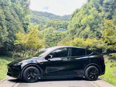 2022年6月 特斯拉 Model Y 后轮驱动版图片