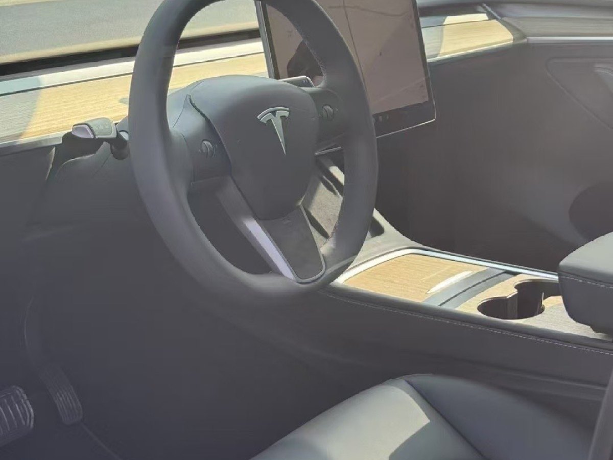 特斯拉 Model Y  2020款 改款 長(zhǎng)續(xù)航后輪驅(qū)動(dòng)版圖片