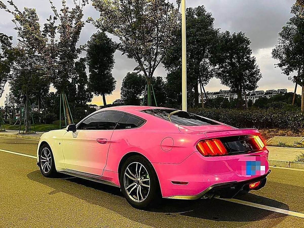 福特 Mustang  2015款 2.3T 性能版圖片