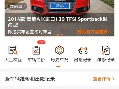 2016年1月 奧迪 奧迪A1(進(jìn)口) 30 TFSI Sportback Design風(fēng)尚版圖片