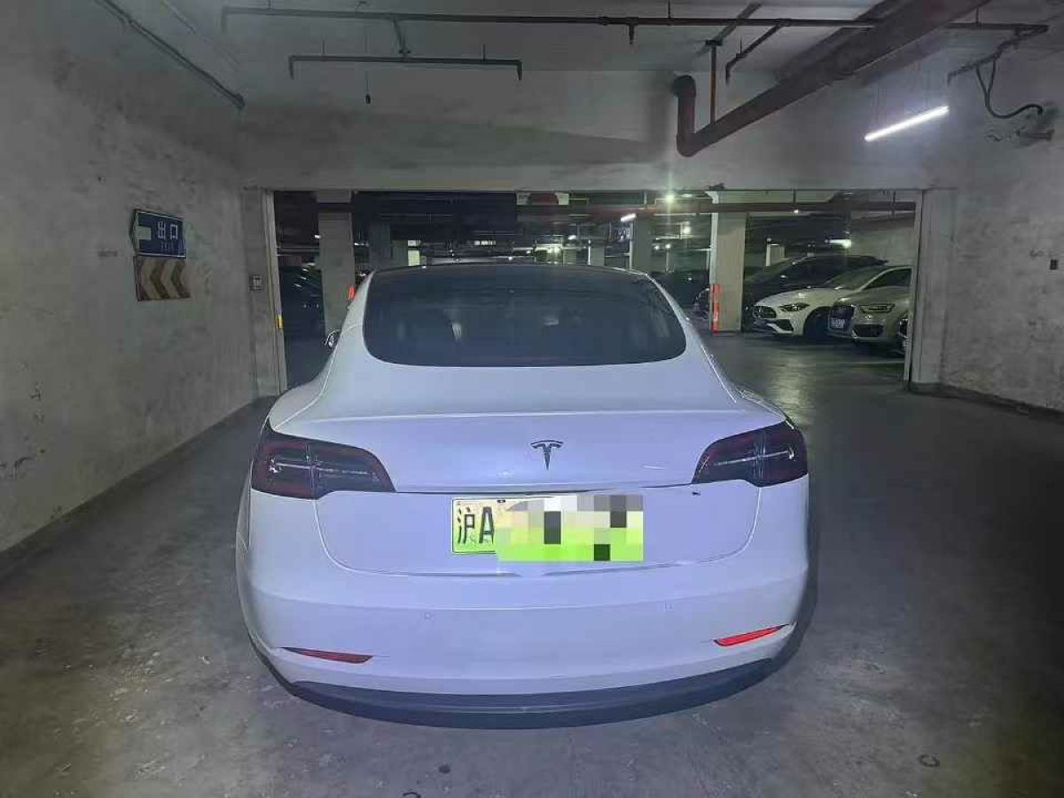 特斯拉 Model 3  2020款 標(biāo)準(zhǔn)續(xù)航后驅(qū)升級(jí)版圖片