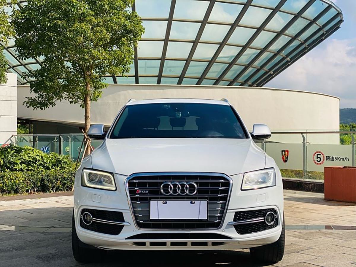 2016年9月奧迪 奧迪SQ5  2014款 SQ5 3.0 TFSI quattro