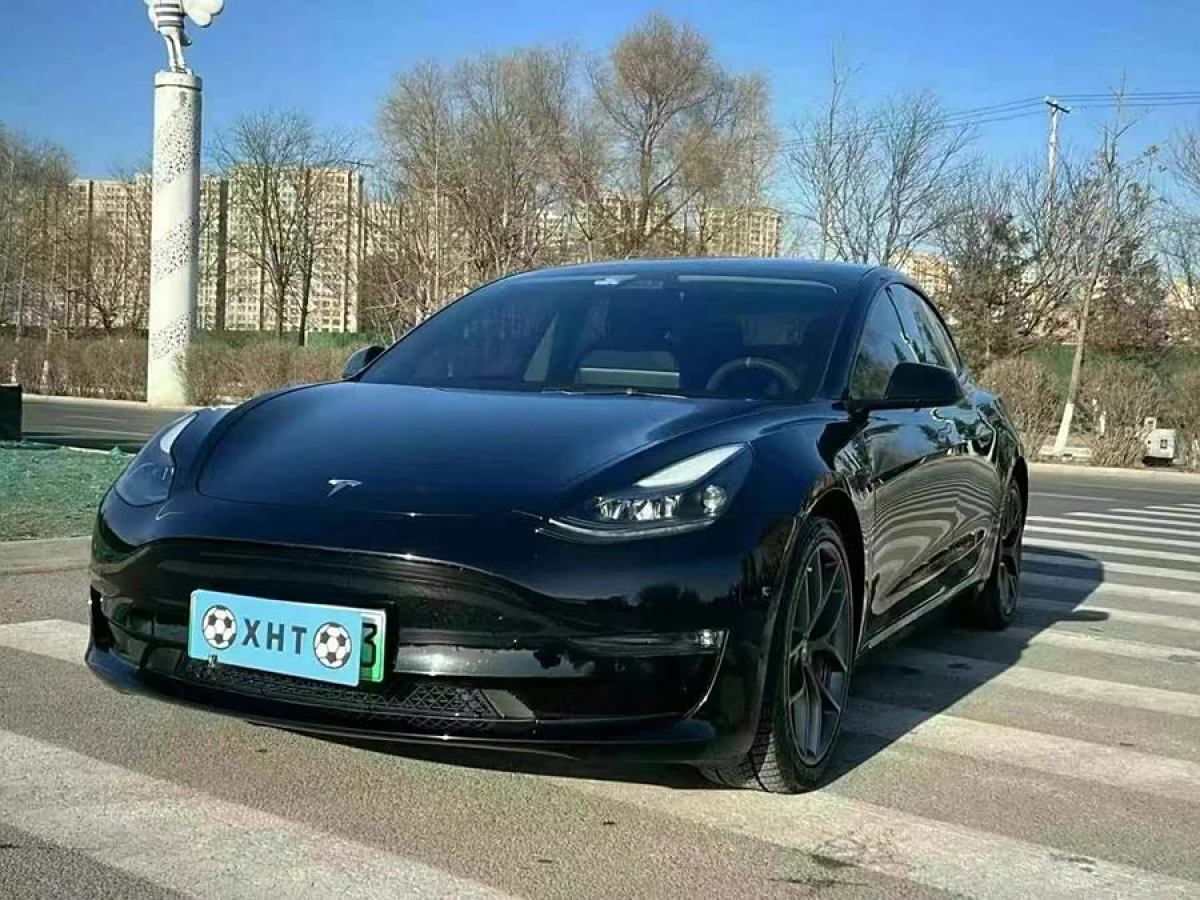 特斯拉 Model Y  2021款 Performance高性能全輪驅動版圖片