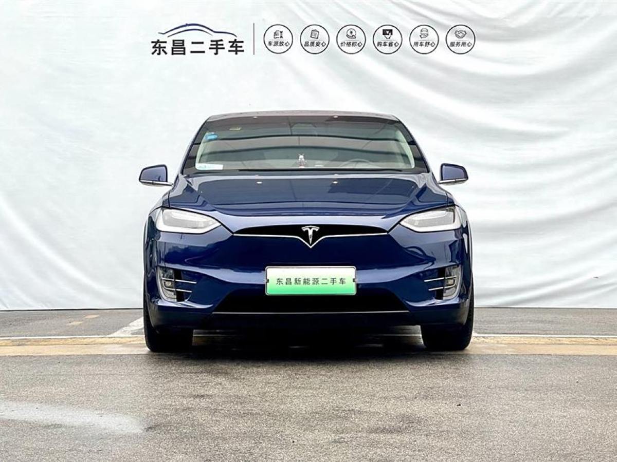 特斯拉 Model X  2017款 Model X 100D 長續(xù)航版圖片