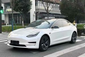 Model X 特斯拉 Performance 高性能版