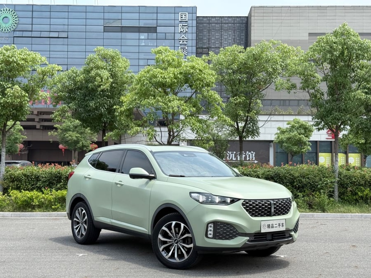WEY VV6  2020款 2.0T 兩驅(qū)智護(hù)+圖片