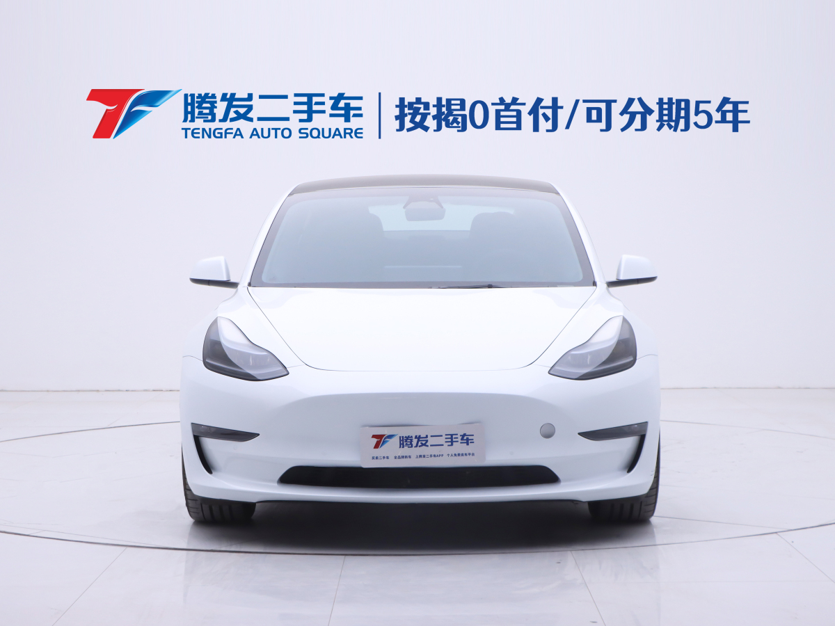 2023年1月特斯拉 Model 3  2019款 Performance高性能全輪驅(qū)動(dòng)版