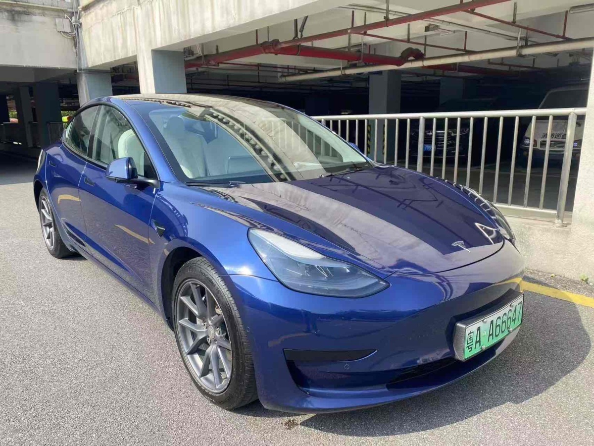 特斯拉 Model 3  2021款 標(biāo)準(zhǔn)續(xù)航后驅(qū)升級版 3D6圖片