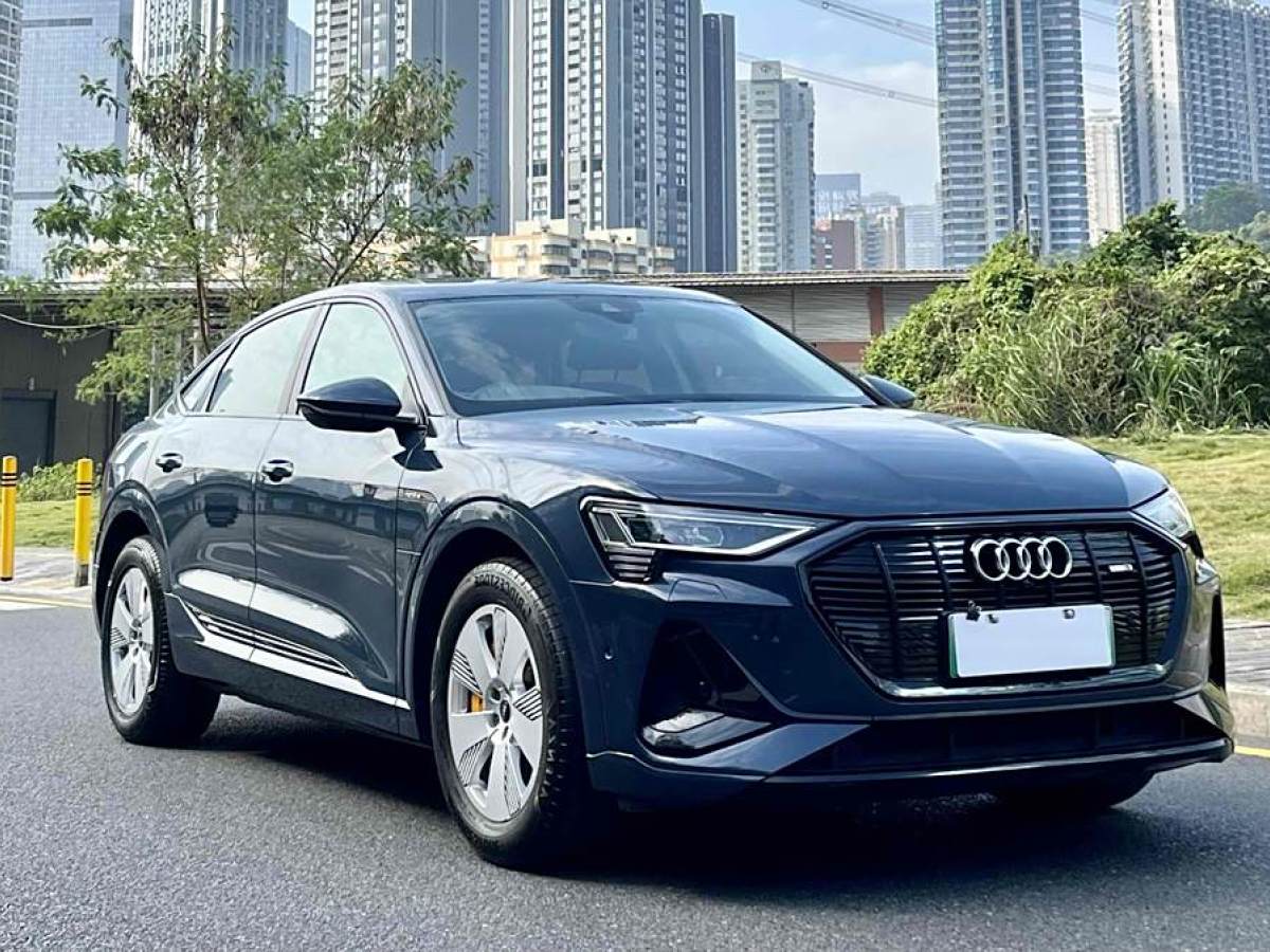 奧迪 奧迪e-tron  2021款 Sportback 55 quattro 臻選型圖片