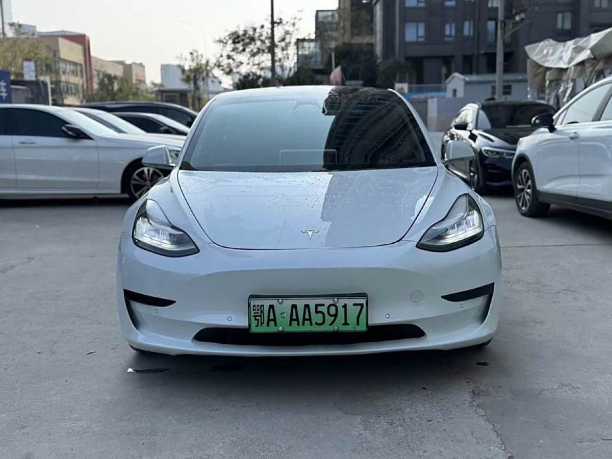 特斯拉 Model 3  2021款 改款 標(biāo)準(zhǔn)續(xù)航后驅(qū)升級(jí)版圖片