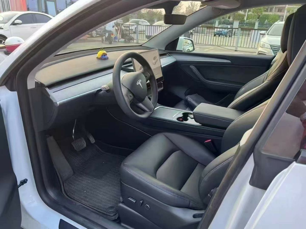 特斯拉 Model Y  2024款 Performance高性能版圖片