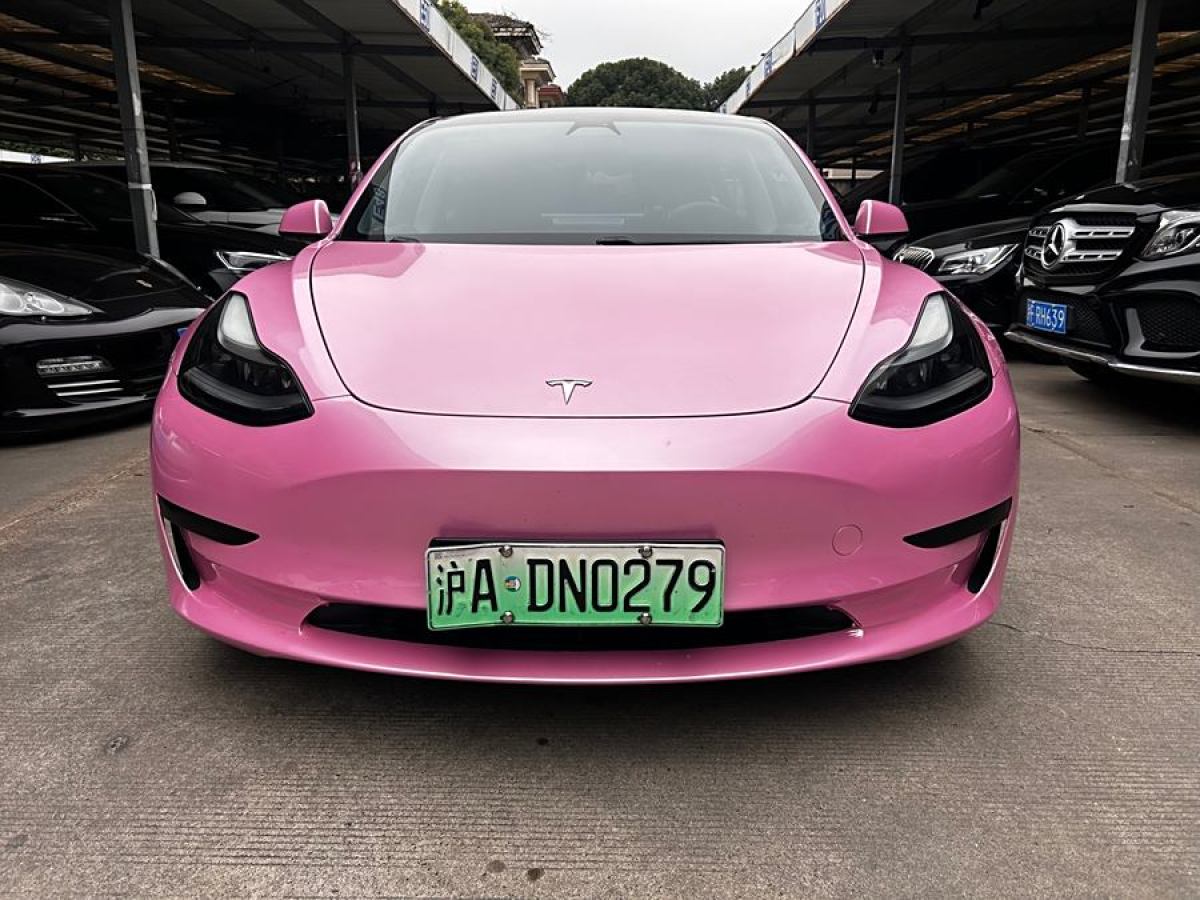 特斯拉 Model 3  2021款 改款 標(biāo)準(zhǔn)續(xù)航后驅(qū)升級版圖片