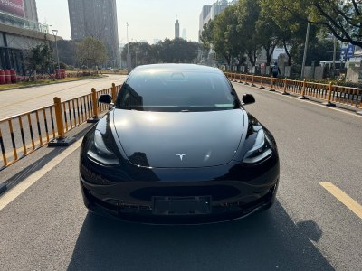 2020年8月 特斯拉 Model 3 標(biāo)準(zhǔn)續(xù)航后驅(qū)升級(jí)版圖片