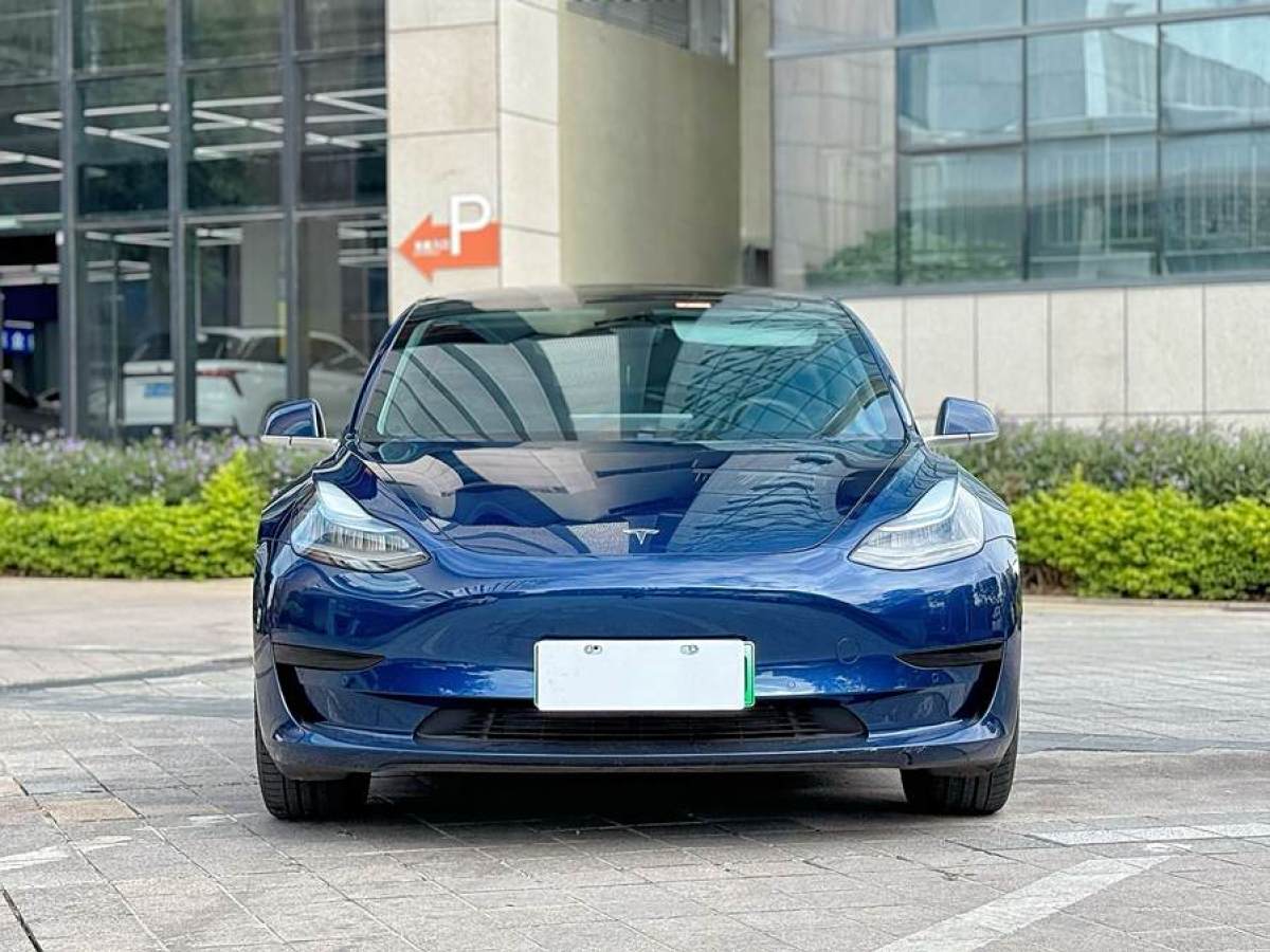 特斯拉 Model 3  2020款 改款 標(biāo)準(zhǔn)續(xù)航后驅(qū)升級版圖片