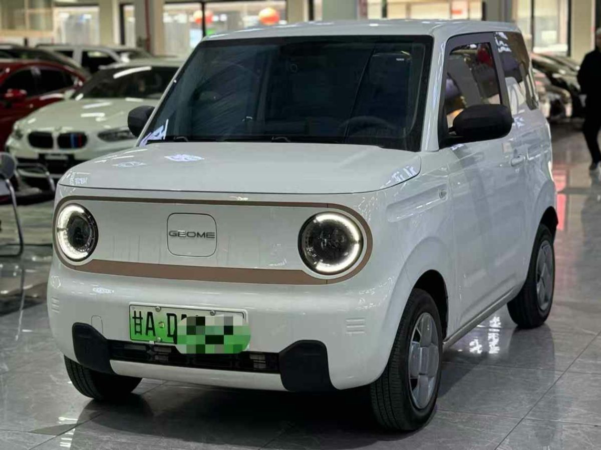 2024年1月吉利 熊貓mini  2024款 200km 熊貓騎士