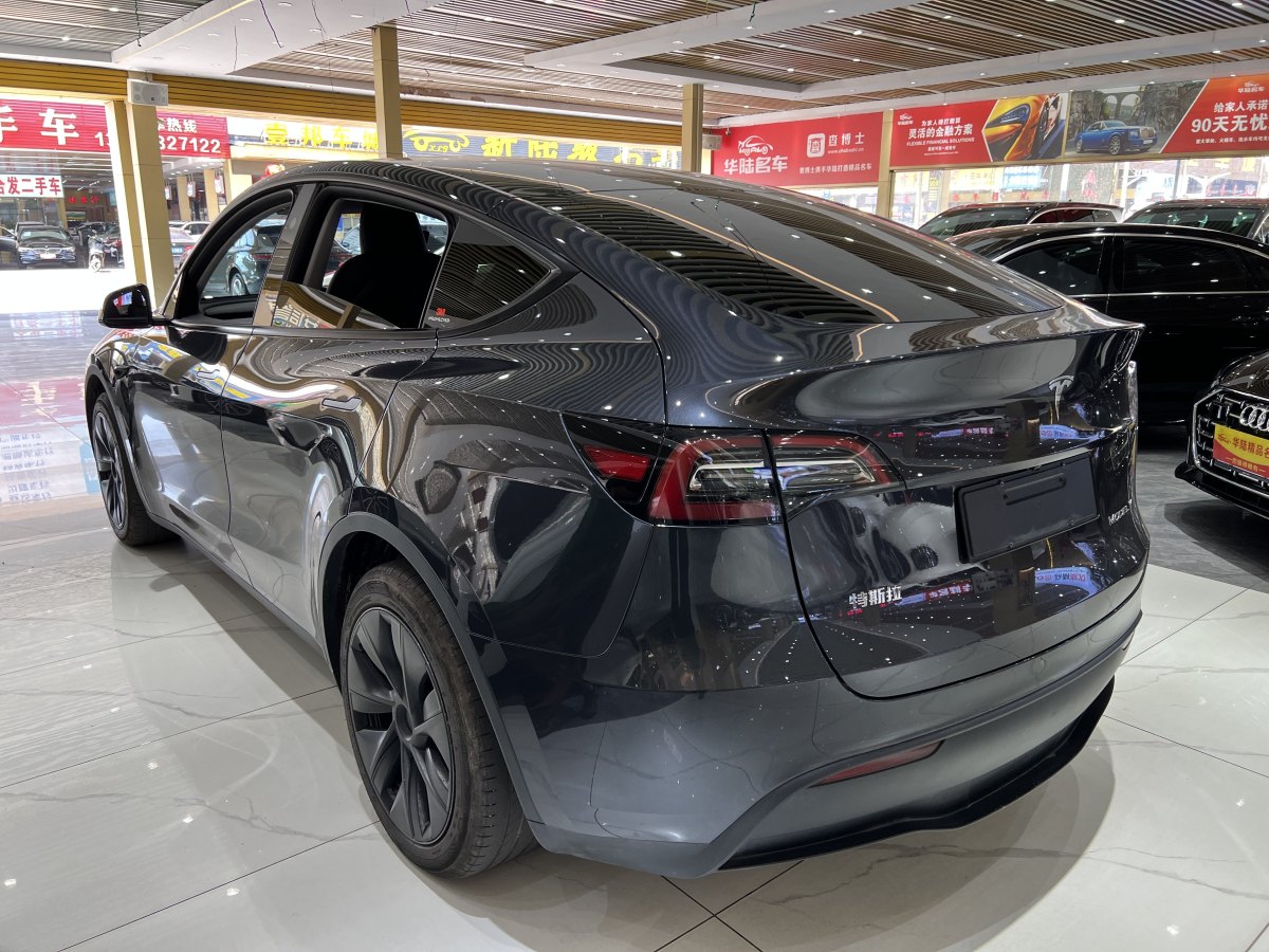 特斯拉 Model Y  2020款 改款 長續(xù)航后輪驅(qū)動版圖片