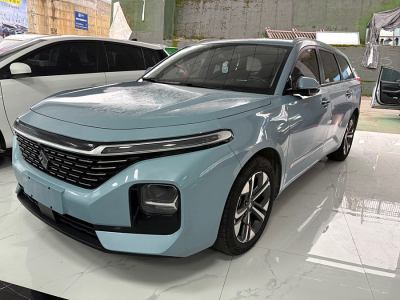 2022年5月 寶駿 寶駿Valli 1.5T 伊犁牧場(chǎng) CVT豪華型圖片