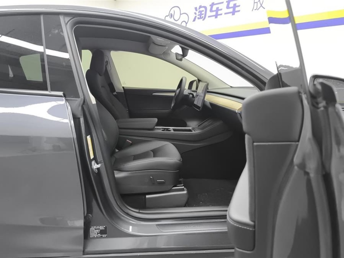 特斯拉 Model Y  2021款 標(biāo)準(zhǔn)續(xù)航后驅(qū)版圖片