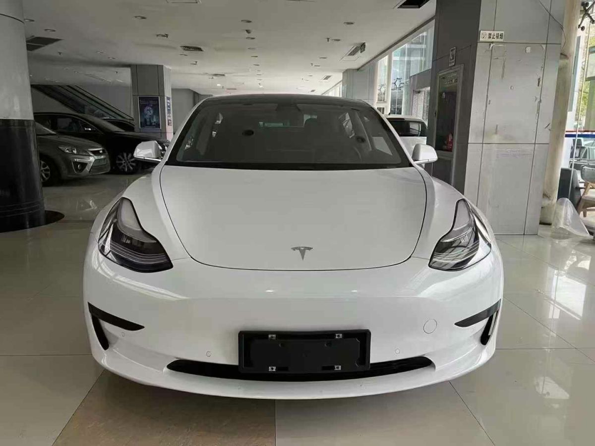 特斯拉 Model 3  2020款 標(biāo)準(zhǔn)續(xù)航后驅(qū)升級版圖片