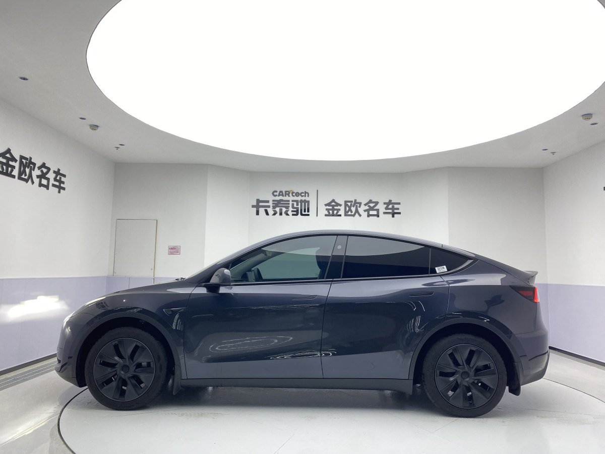 特斯拉 Model Y  2020款 改款 长续航后轮驱动版图片