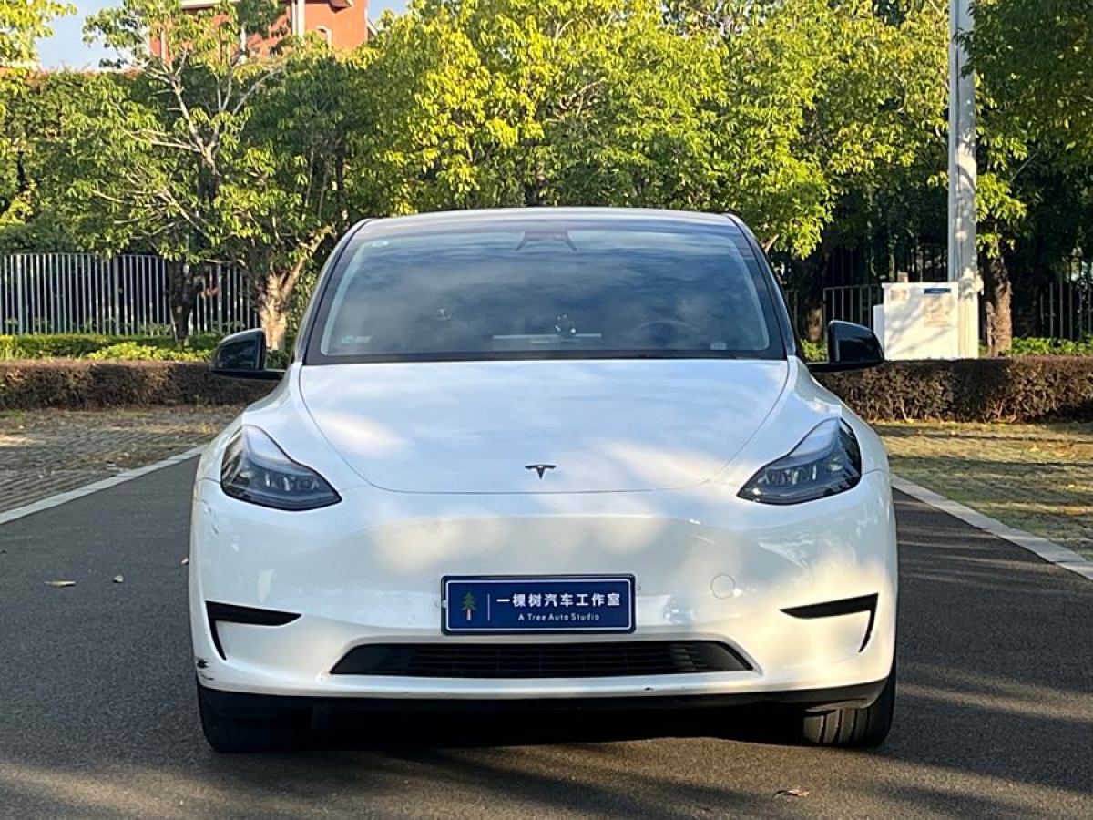 特斯拉 Model 3  2022款 后輪驅(qū)動(dòng)版圖片