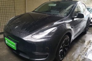 Model Y 特斯拉 標(biāo)準(zhǔn)續(xù)航后驅(qū)版