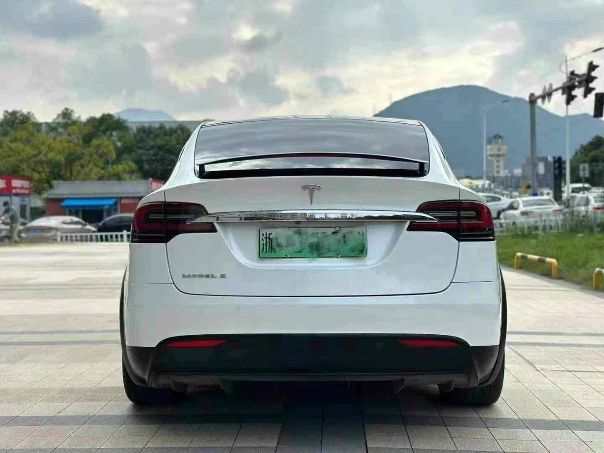 特斯拉 Model X  2016款 Model X 75D圖片