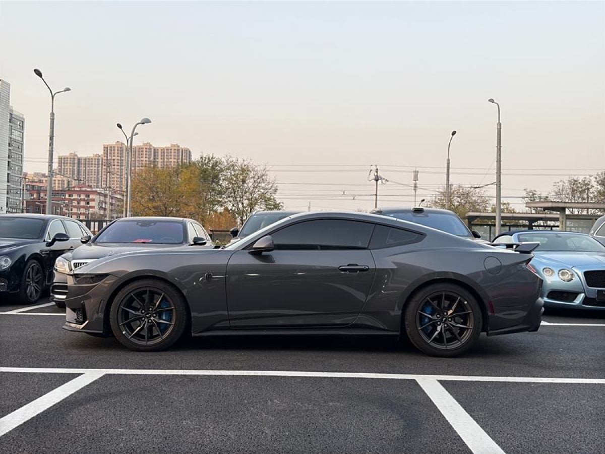 福特 Mustang  2024款 5.0L V8 Dark Horse圖片