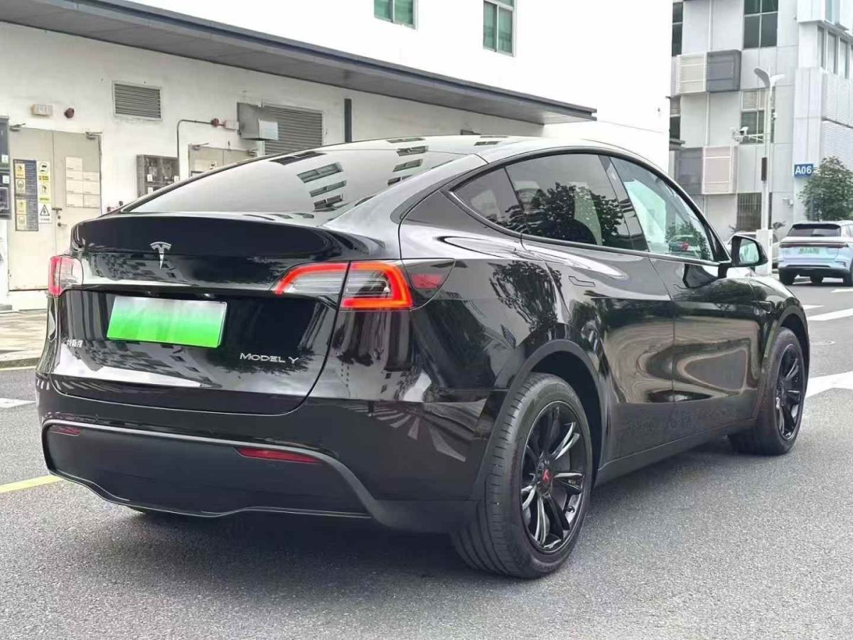 特斯拉 Model Y  2024款 Performance高性能版圖片