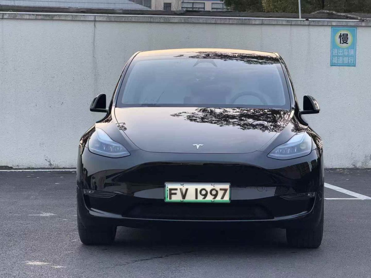 特斯拉 Model Y  2024款 Performance高性能版圖片