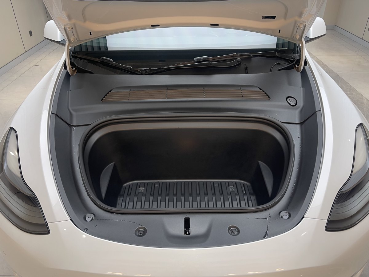 特斯拉 Model Y  2021款 標(biāo)準(zhǔn)續(xù)航后驅(qū)版圖片