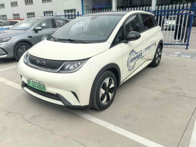 2024年3月 比亞迪 海豚 榮耀版 420km 時尚版圖片